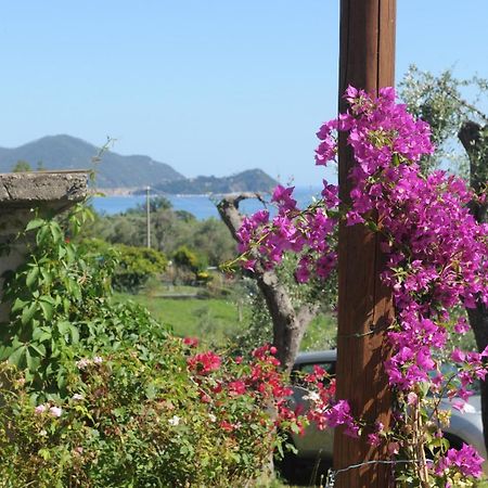 Villa Casa Franguella - Uliveto Sul Mare Lavagna Exterior foto